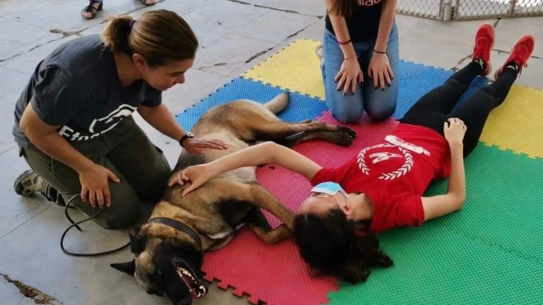 Los perros ayudan a los humanos